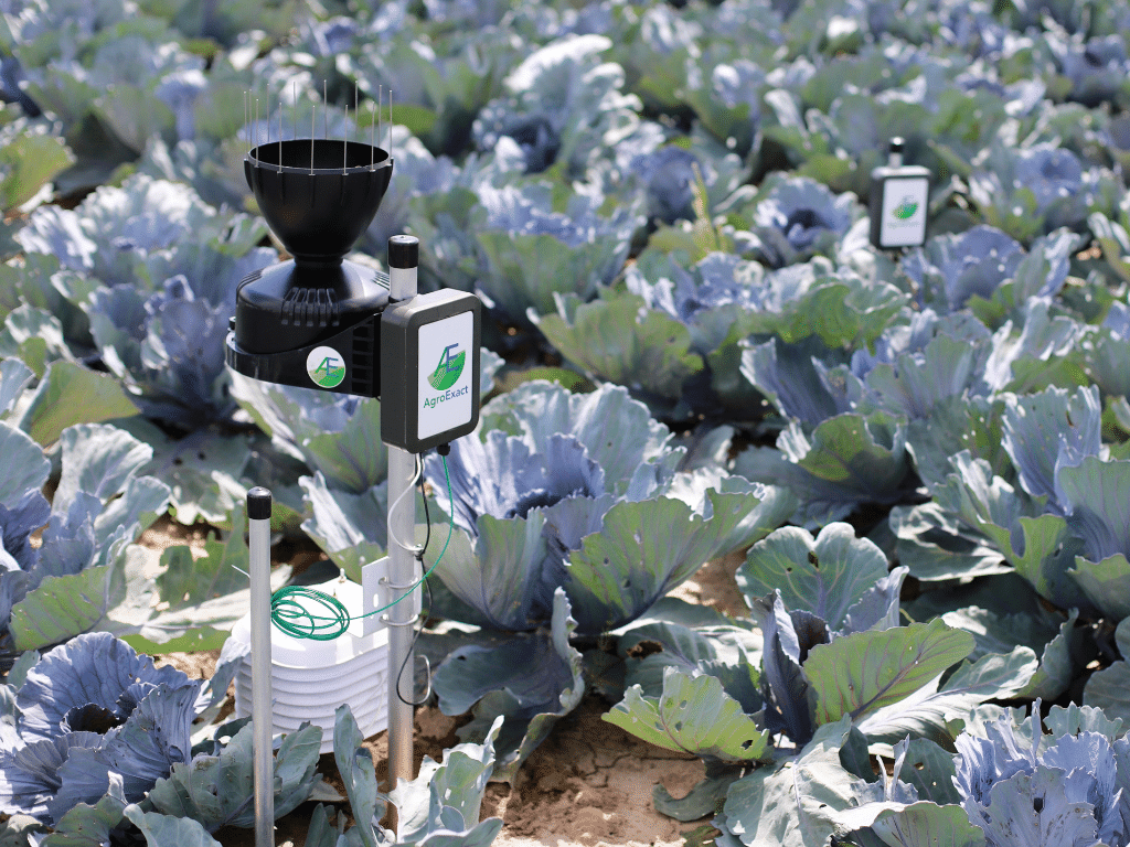 De CropExact bodem- en gewassensor